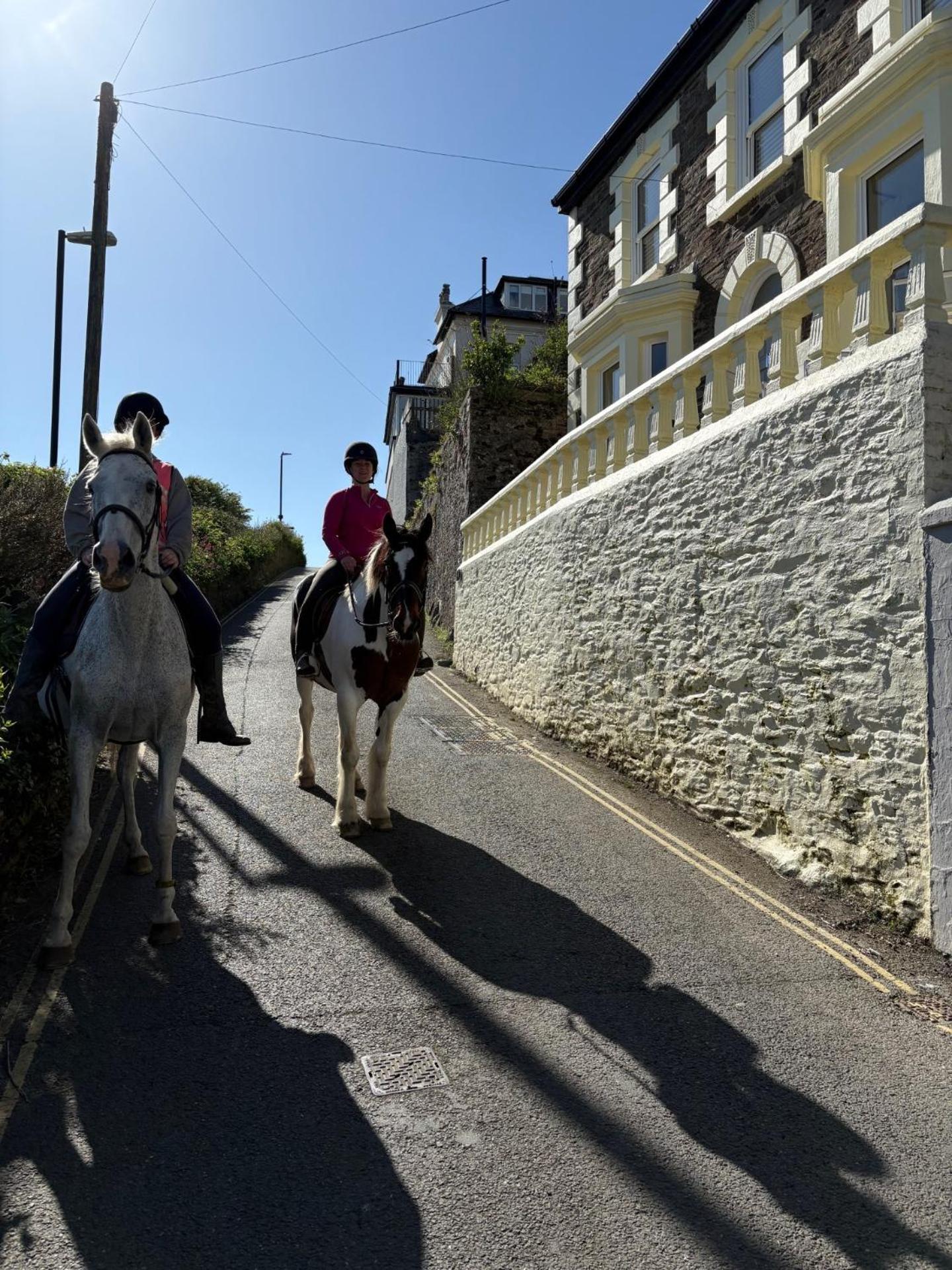 What A View Mevagissey Exterior photo